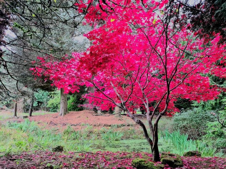 Beautiful Cottage In Brentwood Kelvedon Hatch 外观 照片