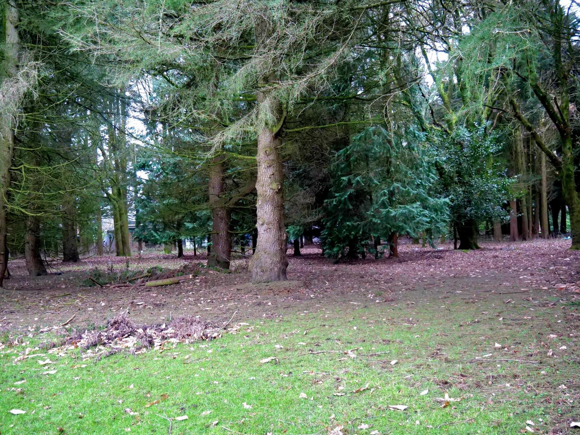 Beautiful Cottage In Brentwood Kelvedon Hatch 外观 照片